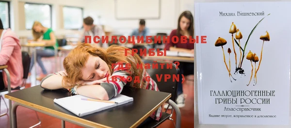 гашик Медногорск