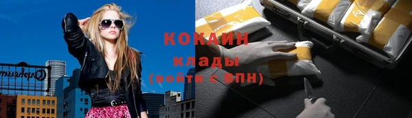 соль ск Мегион