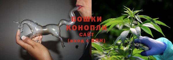 гашик Медногорск