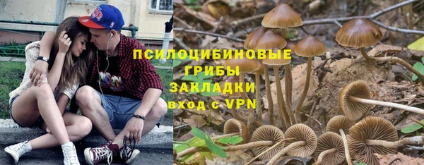 соль ск Мегион