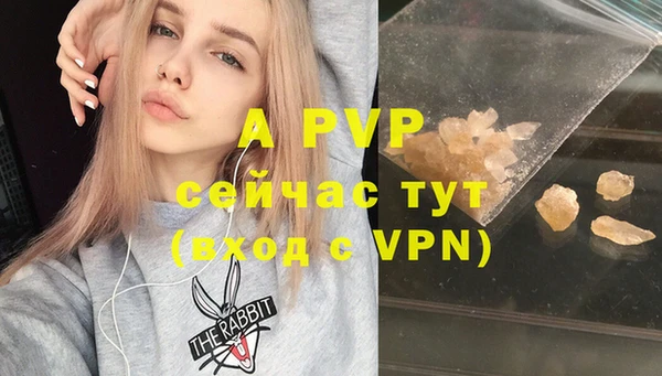 гашик Медногорск