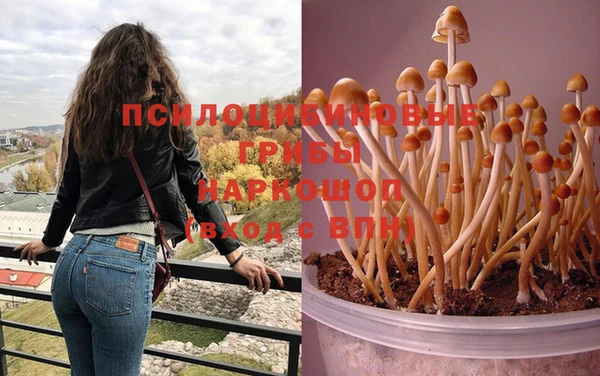 соль ск Мегион