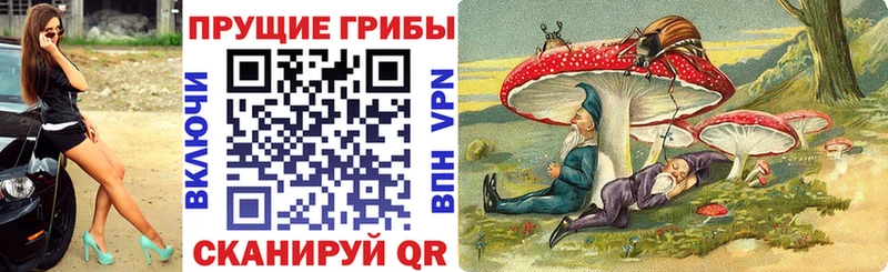 Галлюциногенные грибы прущие грибы  OMG зеркало  Псков 