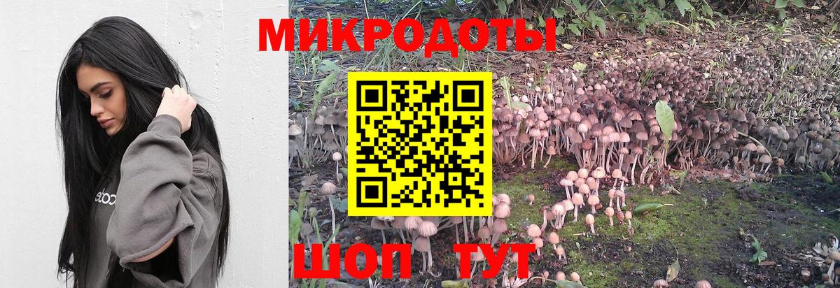 Псилоцибиновые грибы Magic Shrooms Псков